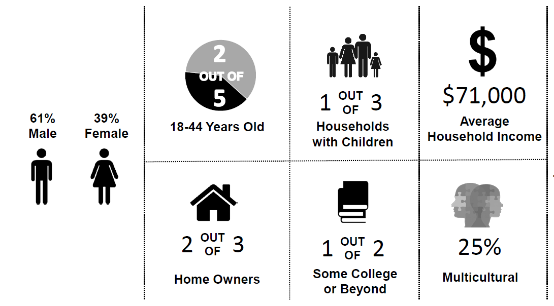 Viewers Demographics